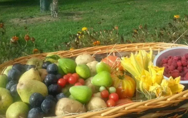 B&B I Tre Pini