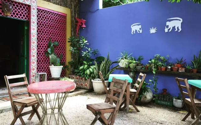 El Jardin De Frida