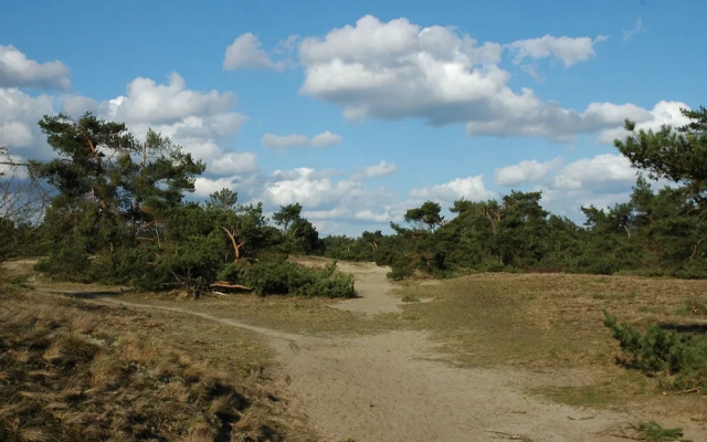 Furnished Chalet with a Terrace near Veluwe