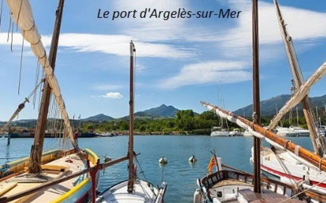 Appartement Argelès-sur-Mer, 2 pièces, 4 personnes - FR-1-225-101