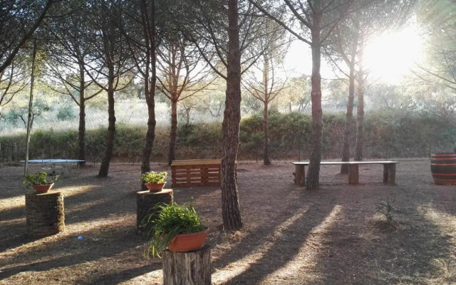 Casa Vacanze Dolce Vita