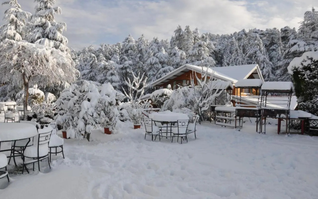 The Chalets Naldehra