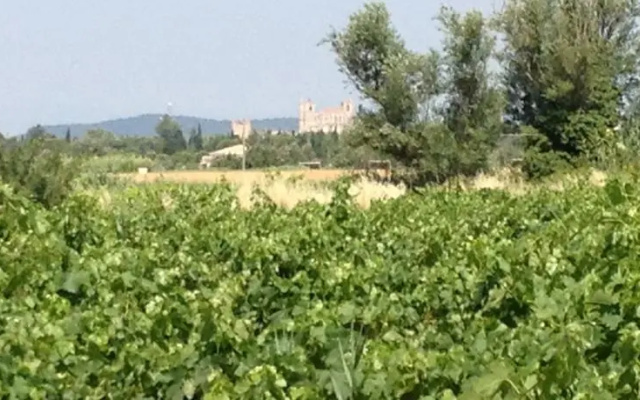 Domaine de Gleizes