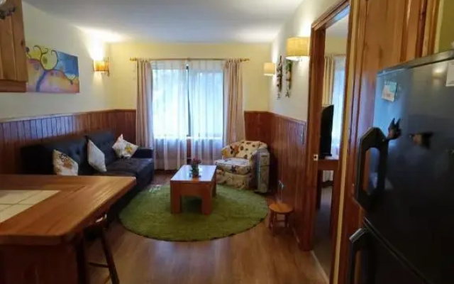 Departamento Parque Suizo Pucon