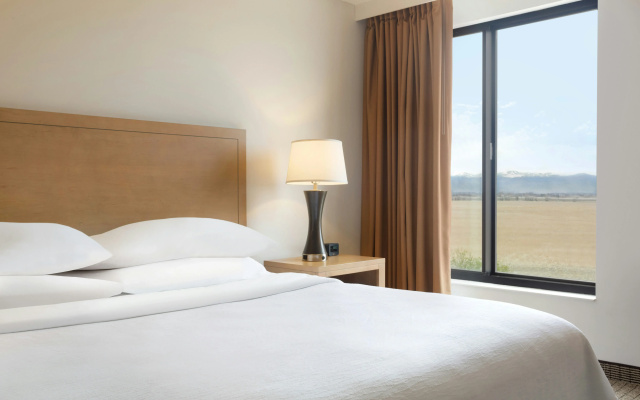 Embassy Suites by Hilton Denver International Airport