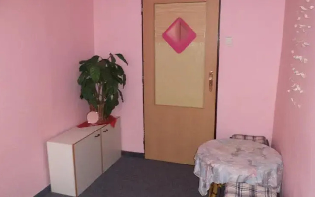 Hostel Kaktus