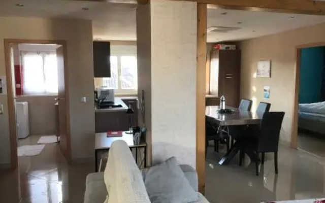 Appartement Centre Ville Colmar 2