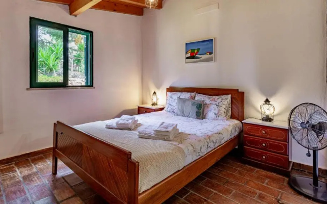 Charming House in a Vineyard Near the Beach