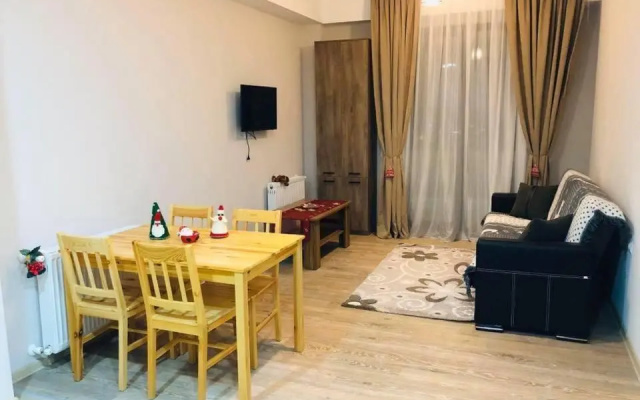 Bakuriani Plaza 503 B
