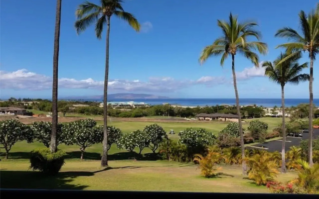 Wailea Ekolu, #312 1 Bedroom Condo By Redawning