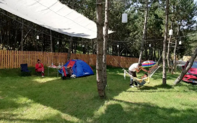 Mengen Cam Pinari Doga Evleri & Restaurant