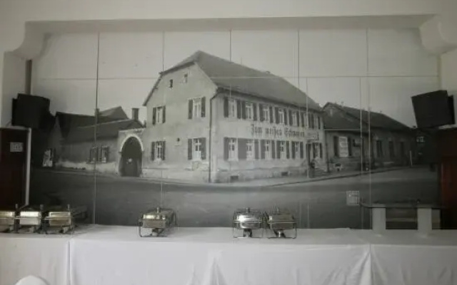 Weisser Schwan