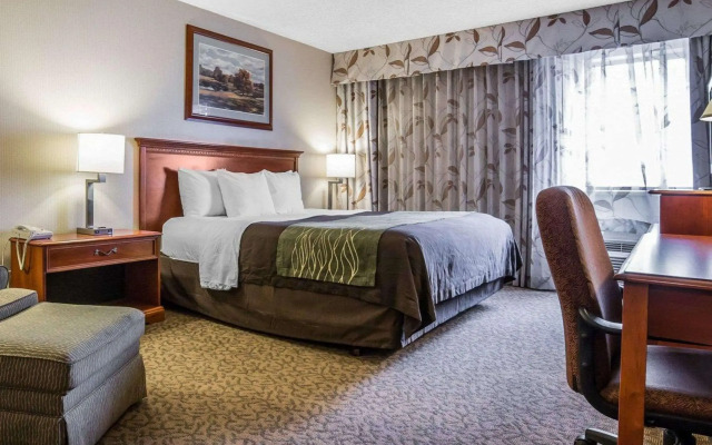 Comfort Inn at Buffalo Bill Village Resort
