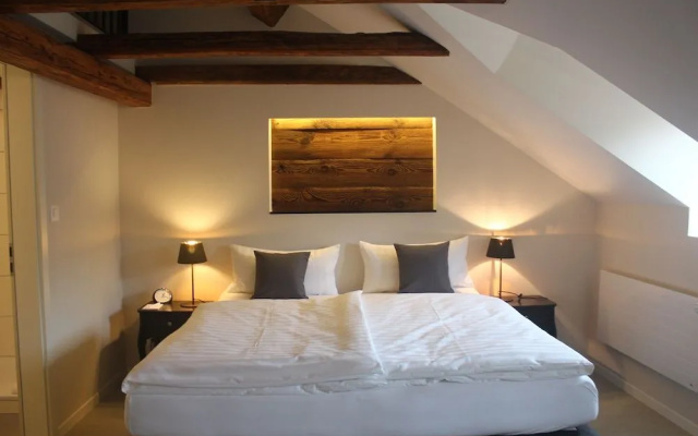 Marco Polo Business Apartments - Brugg