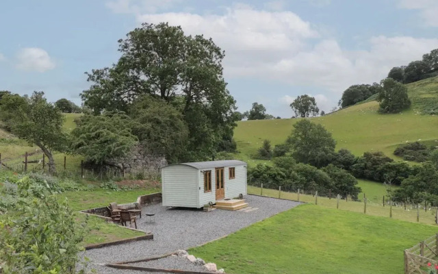 Tan Y Castell Shepherds Hut