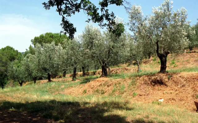 Villa Le Capanne