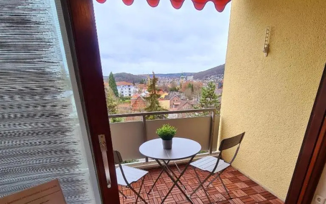 1,5 Zimmer Apartments mit traumhafter Aussicht