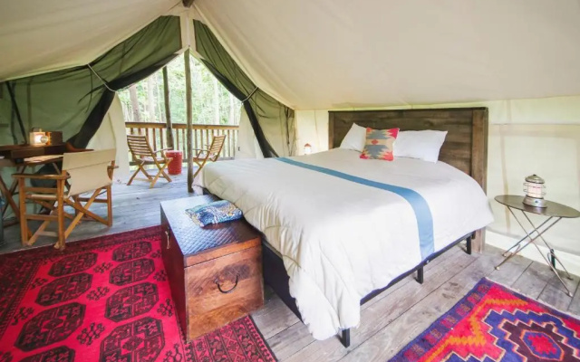 Firelight Camps