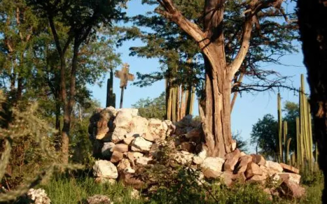 Ghaub Lodge