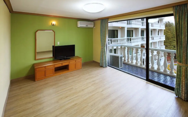 Hanwha Resort Baegam Hot Springs