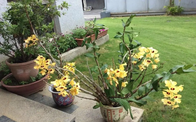 Yuan Zhong Yuan B&B