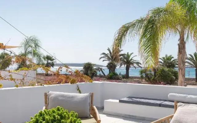 The view 2