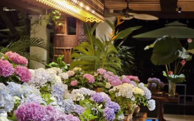 Yunlishu Holiday Homestay, Jinghong City, Xishuangbanna