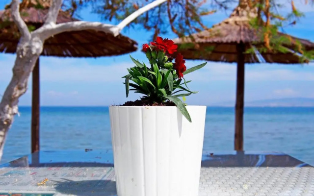 Rena's Traditional Aegean House by the Sea