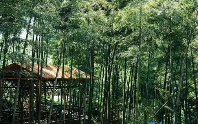 Southern Sichuan Bamboo Sea Wenzhu·Liuqing Homestay