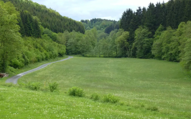 Graceful Holiday Home Near Ski Area in Schmallenberg Germany