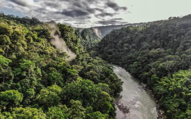 Playa Selva Lodge