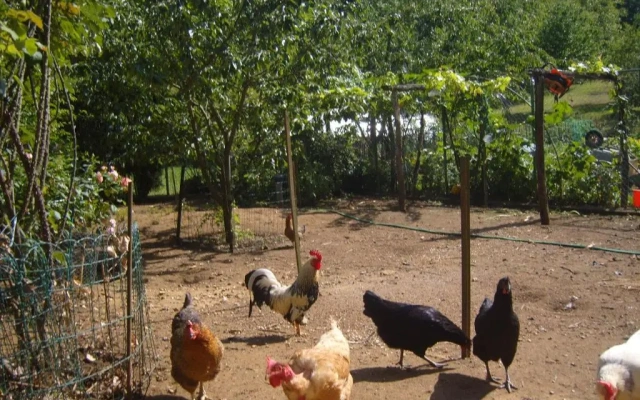 Gîte La Jaubertie Labellisé Handicap