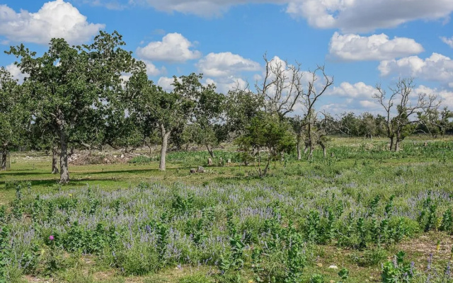 Best Fredericksburg Bed & Breakfast