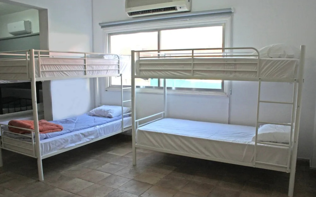 C.A.T Hostel