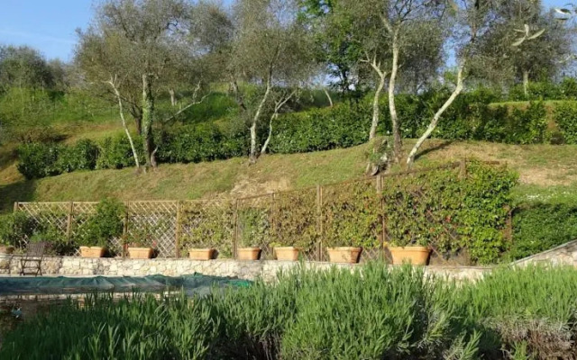 Villa Luna dellAntico Uliveto