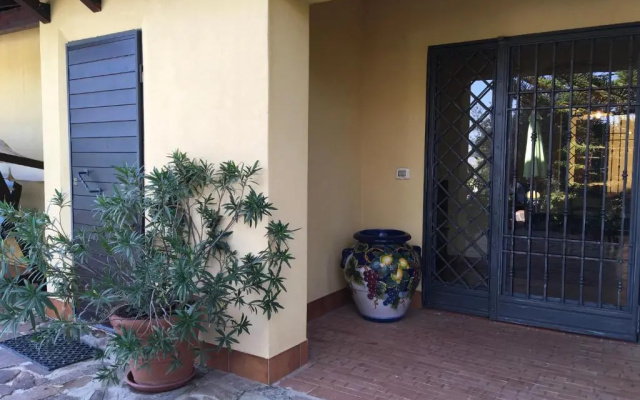Poggio Delle Palme