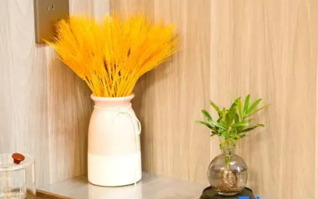 Qingyaju Homestay
