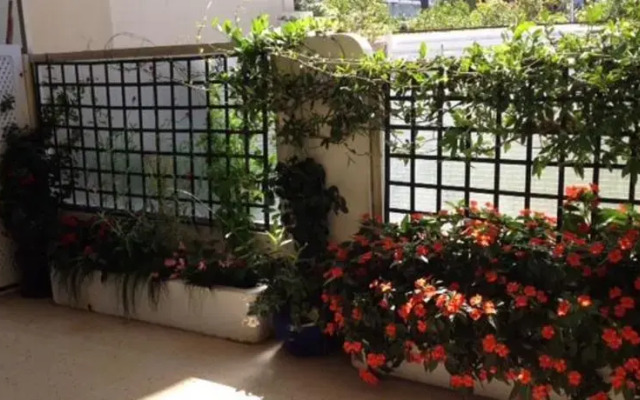 Home Rental Trois Pièces Croisette
