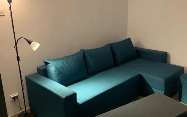 Central Apartament