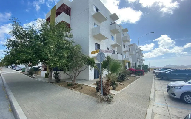 Cabo Oasis Escape - 1 Bedroom Apartment