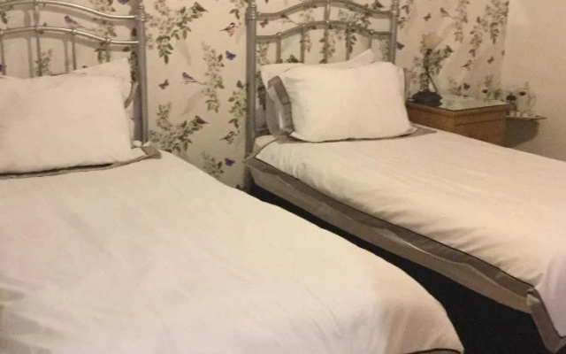 Acer Guest House