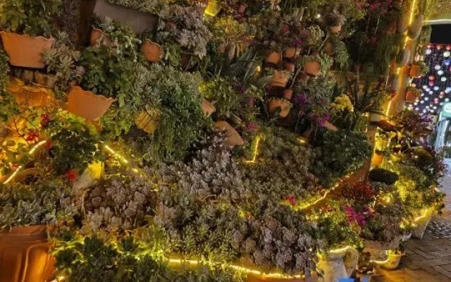 Kunming Duoyuan Homestay
