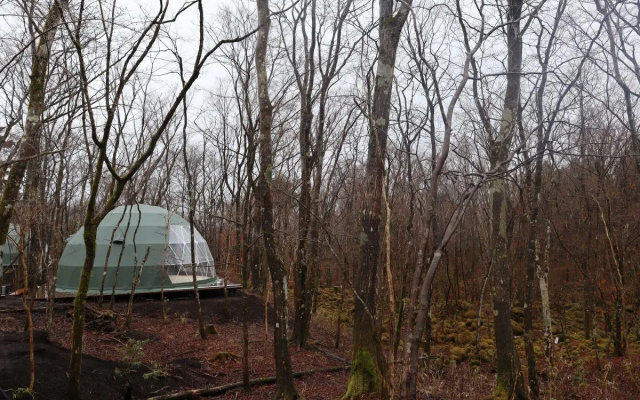 Moss Jurigi Camp Resort