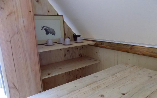 La chouette étoilée