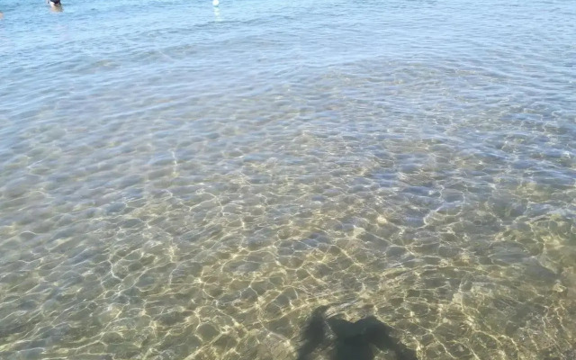 Casetta delle Arti