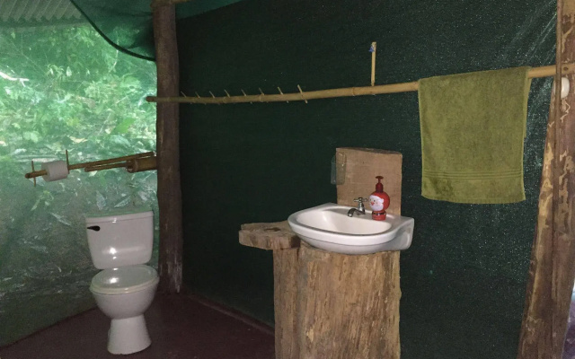 Isla Violin Eco Lodge