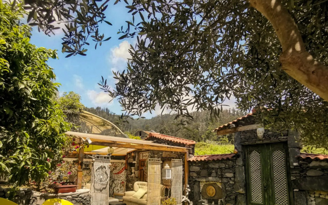 Casas Maravilha - O Ninho by Homie
