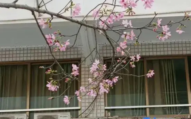 Jinrun Hotel