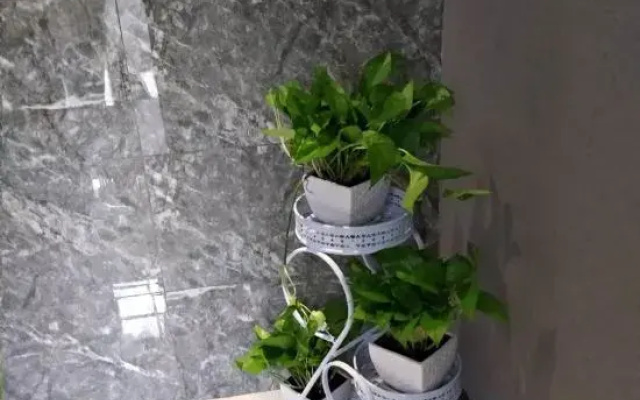 洛阳凯芙特酒店