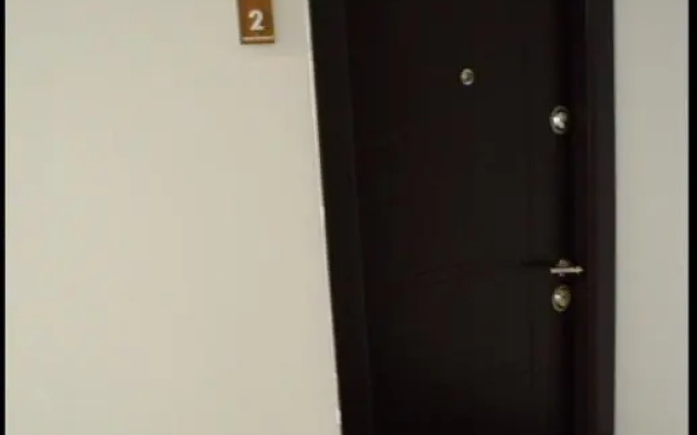 Vivamus Studio